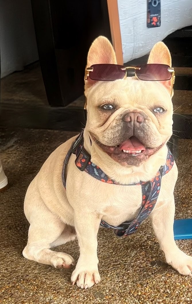 Momento Alfa